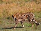 9748-140.jpg