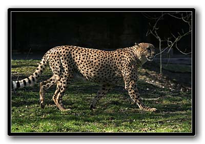 npb_0253_th.jpg